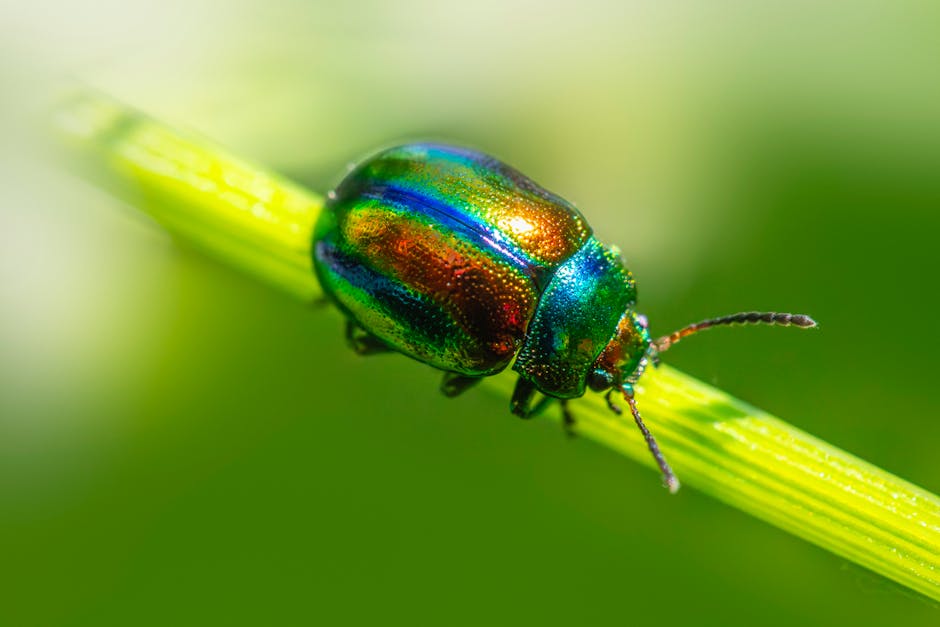 A close-up image of a small red beetle with a shiny, textured shell climbing on a thin, vertical green plant stem. The beetle’s body displays fine surface details, with the left side slightly curved